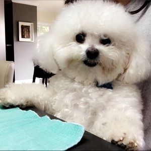 Meet your Posher, Clay